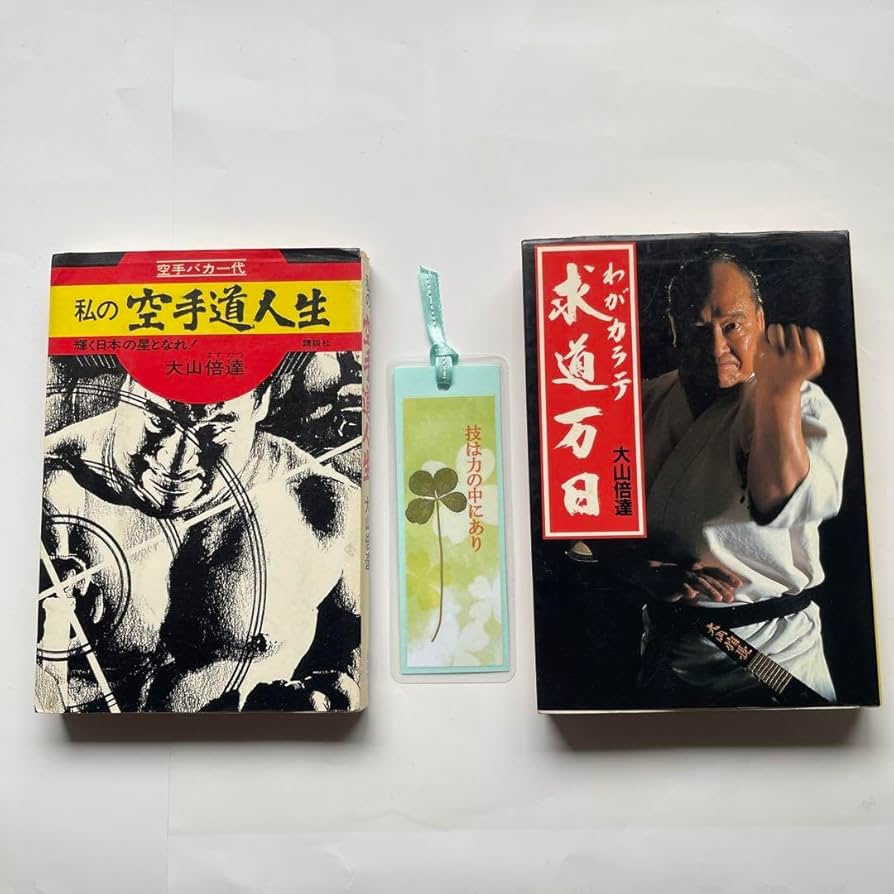 極真空手 4冊セット 大山倍達著 極真空手 4冊セット 大山倍達著